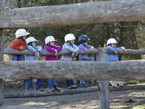 Harlow Park Horse Riding - Attractions Melbourne 0
