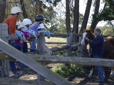 Harlow Park Horse Riding - Attractions Melbourne 2