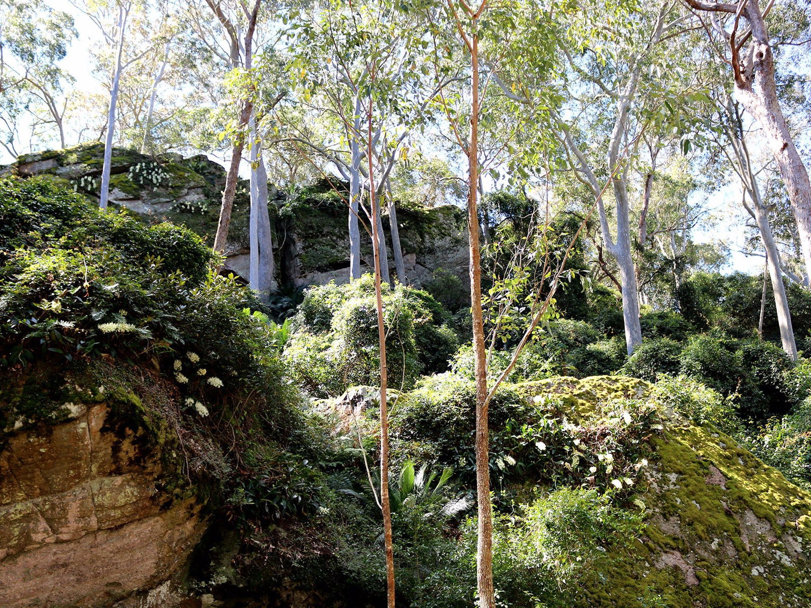  Attractions Melbourne