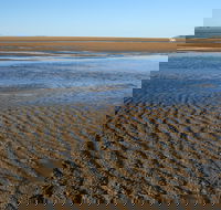 Illawong Beach - Attractions Melbourne