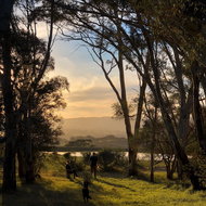 Book Victor Harbor SA Attractions Attractions Melbourne Attractions Melbourne