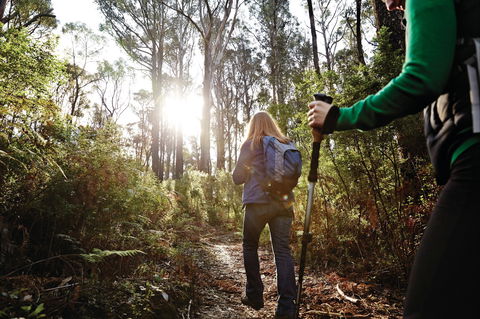 Kinglake National Park - Attractions Melbourne 0