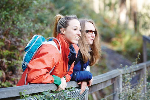 Kinglake National Park - Attractions Melbourne 2