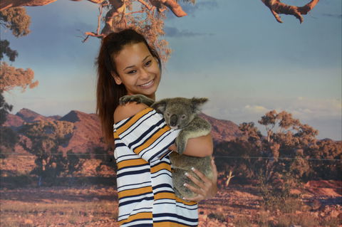 Kuranda Koala Gardens - Attractions Melbourne 0