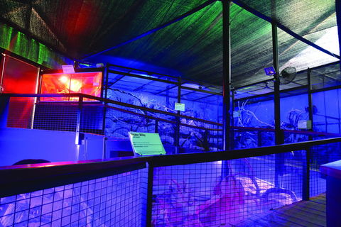 Kuranda Koala Gardens - Attractions Melbourne 2