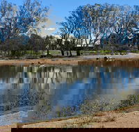 Lake King Wetlands at Rutherglen - Attractions Melbourne