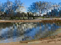 Lake King Wetlands at Rutherglen