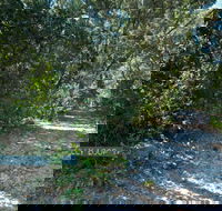 Lillypilly loop trail - Attractions Melbourne