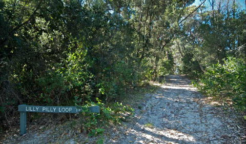 Lillypilly Loop Trail - Attractions Melbourne 0