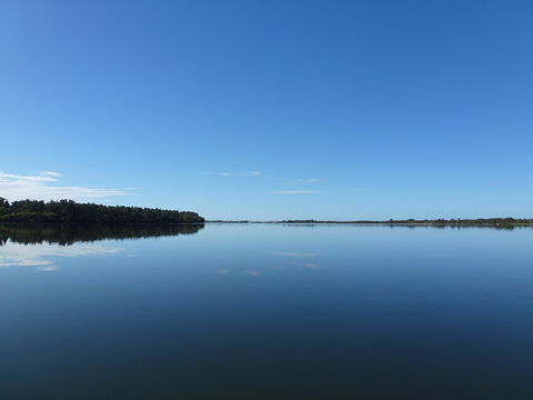 Manning River - Attractions Melbourne 0