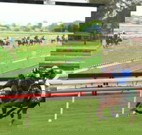 Manning Valley Race Club - Attractions Melbourne