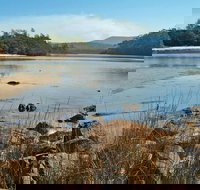 Merrica River Nature Trail - Attractions Melbourne