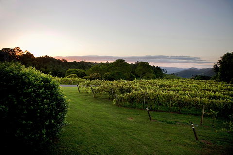 Montville - Attractions Melbourne 1