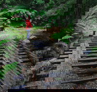 Montezuma Falls - Attractions Melbourne