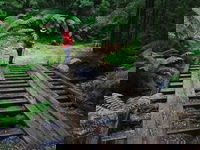 Montezuma Falls