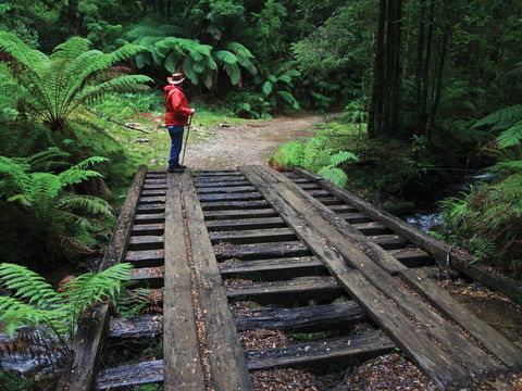 Montezuma Falls - Attractions Melbourne 0