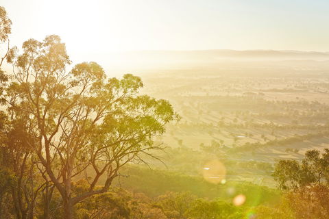 Mt Glenrowan Lookout Walk - Attractions Melbourne 1