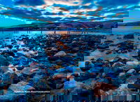 Myponga Beach