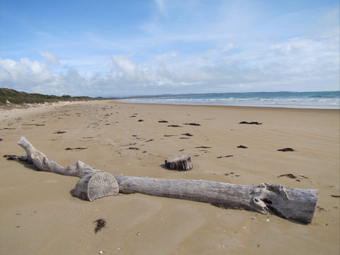 Narawntapu National Park - Attractions Melbourne 2