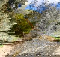 Naracoorte North Nature Park - Attractions Melbourne