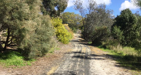 Naracoorte North Nature Park - Attractions Melbourne 0