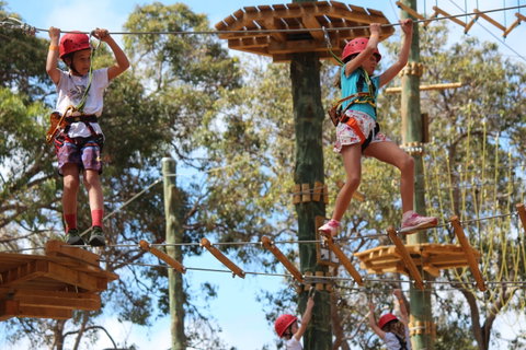 Next Level Monkey Business - Attractions Melbourne 0