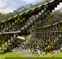 Noojee Trestle Bridge - Attractions Melbourne