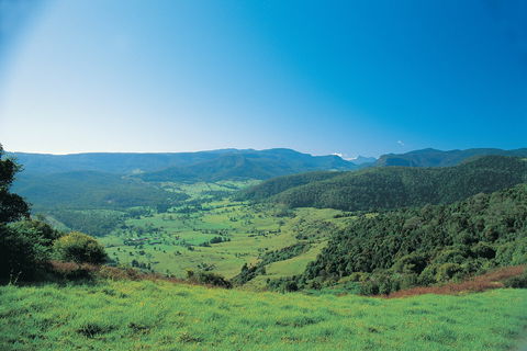 Numinbah Section, Springbrook National Park - Attractions Melbourne 0