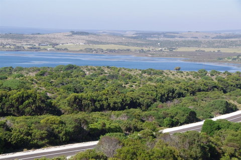 Pelican Lagoon - Attractions Melbourne 0