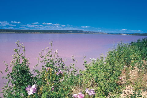 Port Gregory - Attractions Melbourne 0