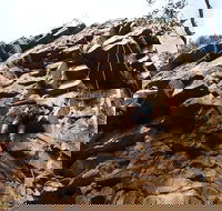 Rock Climbing in Morialta - Attractions Melbourne