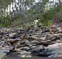Rocksberg Park Heritage Reserve - Attractions Melbourne