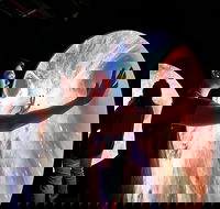 Scienceworks - Attractions Melbourne