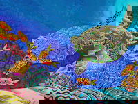 Sea Silks Gallery