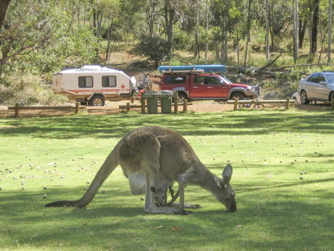 Serpentine - Attractions Melbourne 1
