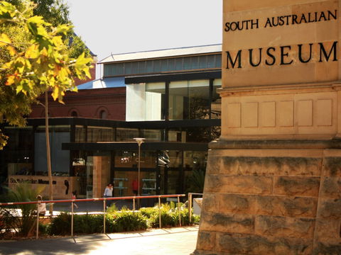South Australian Museum - Attractions Melbourne 0