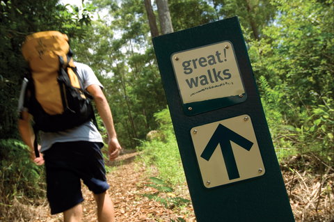 Sunshine Coast Hinterland Great Walk - Attractions Melbourne 0