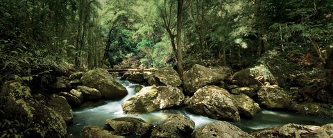 Sunshine Coast Hinterland Great Walk - Attractions Melbourne 1