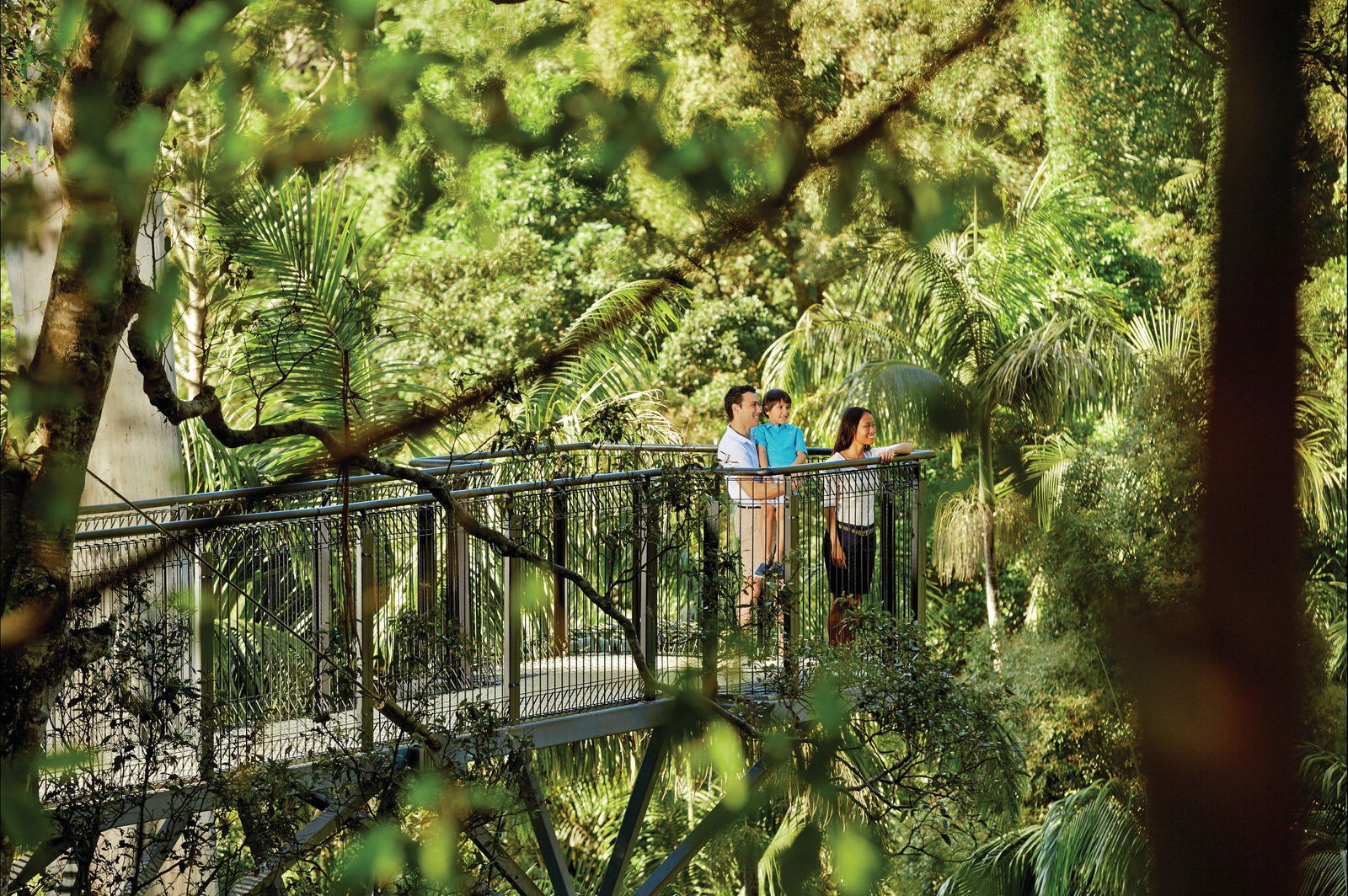 Mt Tamborine QLD Attractions Melbourne