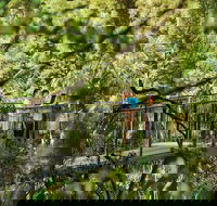 Tamborine Mountain - Attractions Melbourne