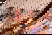 Tambo Teddies