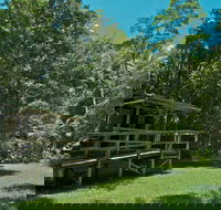 Terania Creek Picnic Area - Attractions Melbourne
