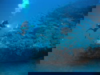 The Zanoni Wreck