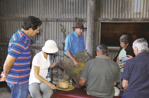 Venus Gold Battery - Attractions Melbourne 1