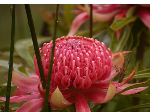 Vortex Healing Centre - Attractions Melbourne 2
