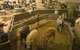 Wagga Wagga Livestock Marketing Centre - thumb 0