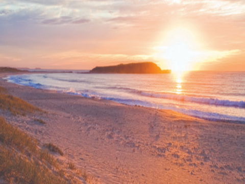 Warilla Beach: Shellharbour - Attractions Melbourne 0