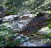 Washpools waterhole - Attractions Melbourne