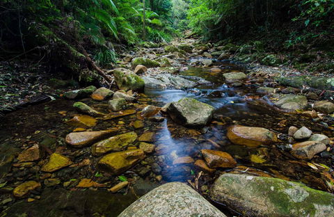 Willi Willi National Park - Attractions Melbourne 0