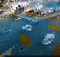Wodonga Sports and Leisure Centre - Attractions Melbourne